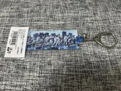 埼玉西武ライオンズ 東京ドーム開催記念アクリルキーホルダー