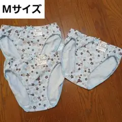 Item thumbnail for item 5cdd6b1d-afdc-4e39-92af-d3788c5e2b5b