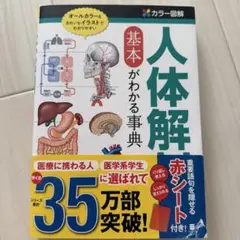 人体解剖 基本がわかる事典