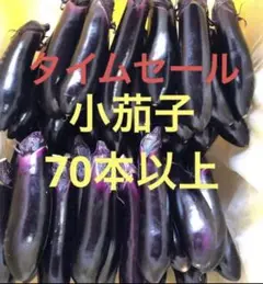 小茄子 70本以上 箱込み5kg