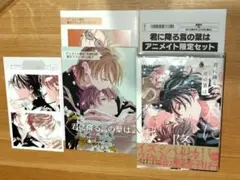 君に降る言の葉は アニメイト限定セット／イズミハルカ先生