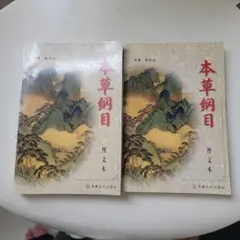本草綱目 中国語 上下セット
