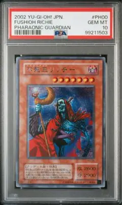 【青と春】不死王リッチーPSA10他 2025年最新】不死王リッチー レリーフ psa10の人気アイテム