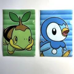 未使用　ポケモン　クリアファイル　ナエトル　ポッチャマ