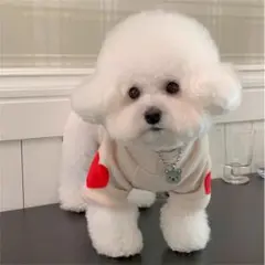 Item thumbnail for item e904730f-0f80-4f2a-b515-0fe0b9296780