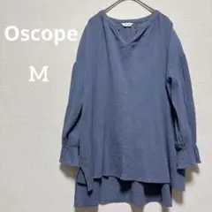 Item thumbnail for item 7d0babce-d7cd-40d4-9221-6f41ebf24741