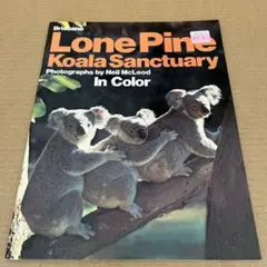 Lone Pine コアラパーク　パンフレット