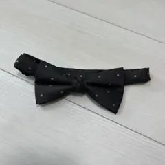 Item thumbnail for item dcb0d4a1-947a-49bf-a011-b1fe51e4f57c