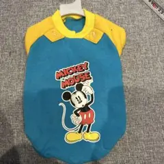 Item thumbnail for item 4f49ba07-dcf9-4455-abf0-3f8d708de698