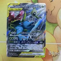エンテイv sa フシギバナ sr psa9 エンテイV【SAR】{213/172}