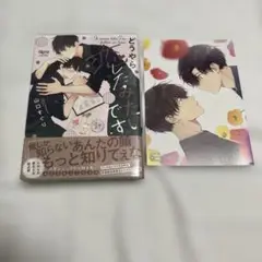 どうやら恋したみたいです。　山口すぐり　アニメイト特典