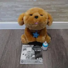 マイドリームパピー　スナッグルズ ヨドバシ.com - RANGS JAPAN ラングス ジャパン リトルライブ