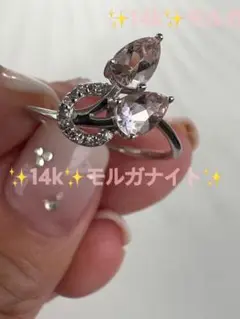 Item thumbnail for item ac80afe8-689f-495b-bc53-743e3831e946