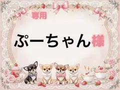 専用