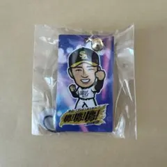 福岡ソフトバンクホークス 和田毅（木札ストラップ）