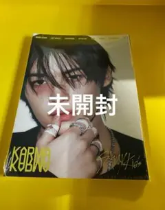 Stray Kids KARMA ACCORDION リノ　スキズ