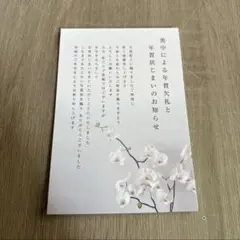 残り1点⭐️喪中はがき 年賀状じまい 私製 10枚入り ハガキインクジェット