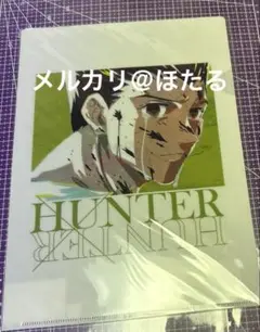 HUNTER×HUNTER Ani-Art 第3弾 クリアファイル　ゴンさん