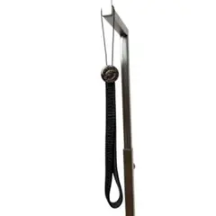 Item thumbnail for item 4c5e417f-ca0f-4437-a6b0-832d26994e64
