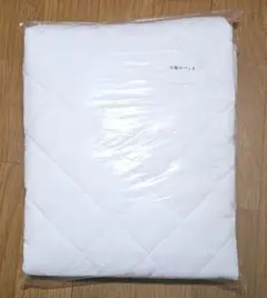 Item thumbnail for item 7b1b1250-a51c-49d1-87fb-c7296656da55