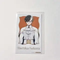 桜遥 ミニブロマイド 特典 引き