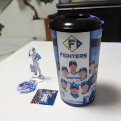 FIGHTERS タンブラーとアクリルスタンド キーホルダーセット