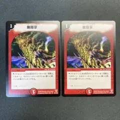 28744 無限掌 初期 2枚セット