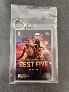 Bリーグ　Best five　Vic Law ヴィックロー