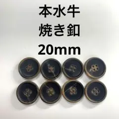 Item thumbnail for item a90d63b5-d4f7-4a90-b66d-1da013851f36