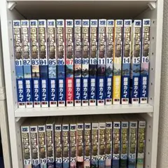 ロトの紋章 全34巻セット 藤原カムイ