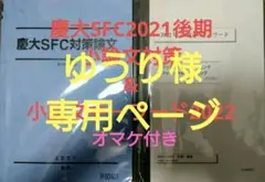 慶大SFC2021後期 小論文対策u0026小論文キーワード2022 駿台テキスト