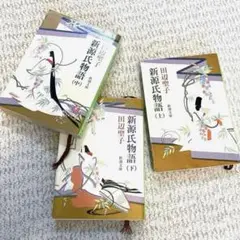 【新源氏物語】上中下 3冊
