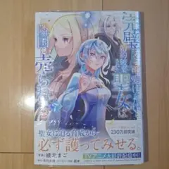【匿名配送】完璧すぎて可愛げがないと婚約破棄された聖女は隣国に売られる 7