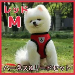 ハーネスu0026リードセット レッド M 犬 猫 ペット用品 お散歩 メッシュ