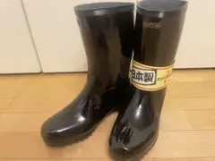 Item thumbnail for item 6213eb4c-8141-461d-a312-78ad001b453e