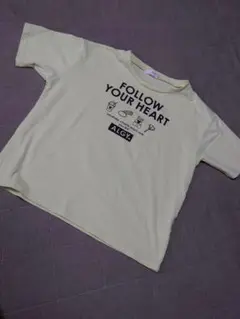 ALGY アルジー Tシャツ 150 S