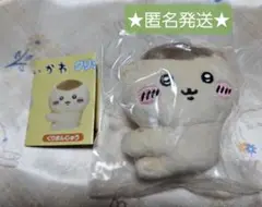 Item thumbnail for item c8abbb4f-45bc-4be2-8f7d-2d527072f027