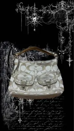 coachバックy2k平成平成ギャルグランジマクブリングフェアリーグランジパンク