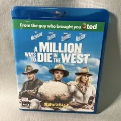 Blu-ray 荒野はつらいよ