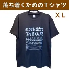 落ち着くためのTシャツ XLサイズ 面白Tシャツ 素数を数えて落ち着くんだ！