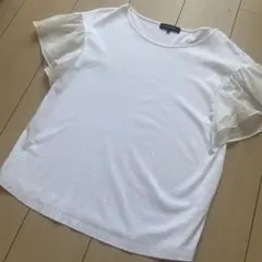 【UNTITLED 】フリル袖 Tシャツ サイズ2 ホワイト
