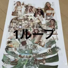 海外マステ【onwize】1ループ 切り売り〈G〉