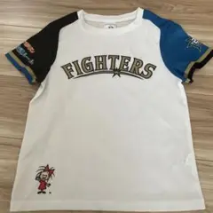 ファイターズ　Tシャツ　きっず