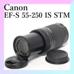 Item thumbnail for item 75655926-8316-406a-8b2b-1d3a2c944333