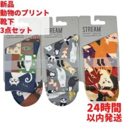 新品 猫 犬 動物のプリント 靴下 3点セット