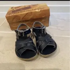 Salt Water Sandals Swimmer