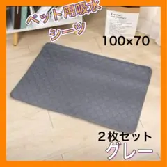Item thumbnail for item 687e1c19-649e-4f4e-933a-9b72e06d8456