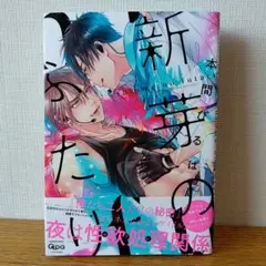 本間ぴるぱ　BLコミック