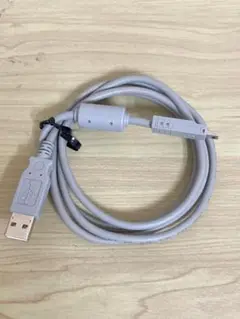 USBケーブル ニンテンドー3DS/2DS用
