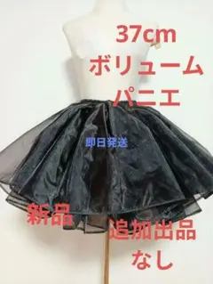 Item thumbnail for item 8a1729a3-cd85-4083-be76-bcee7938ac4e